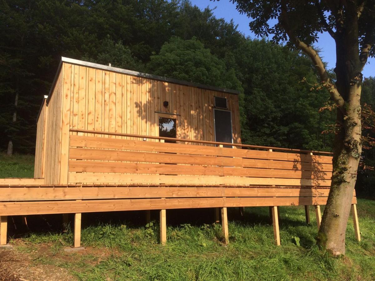 WiltzschZinipi Retreat Gelenau "Eber"别墅 外观 照片