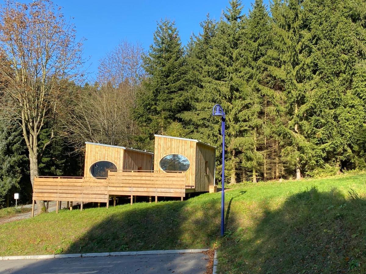 WiltzschZinipi Retreat Gelenau "Eber"别墅 外观 照片